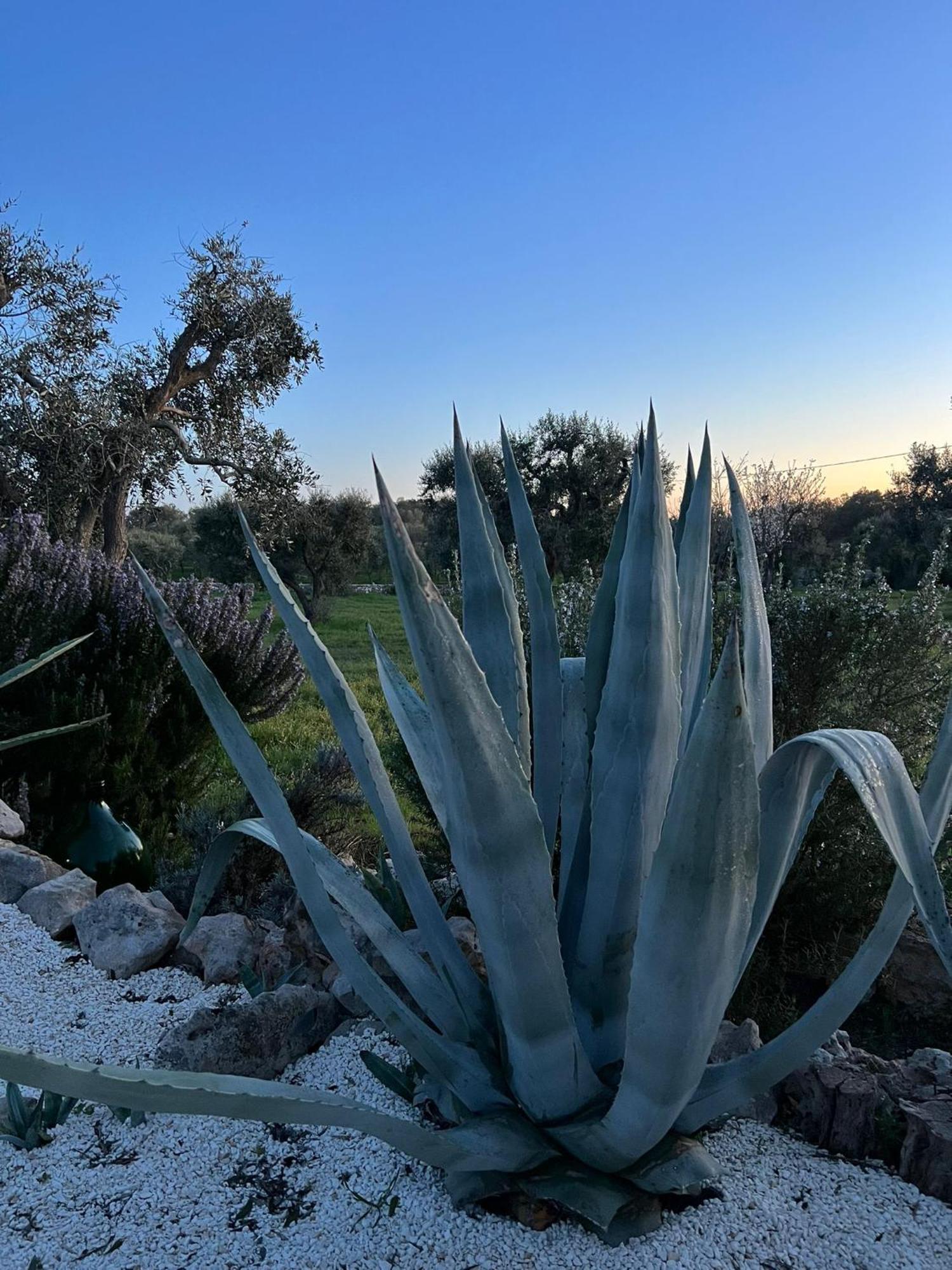 Trullo Oriale Villa Ostuni Dış mekan fotoğraf