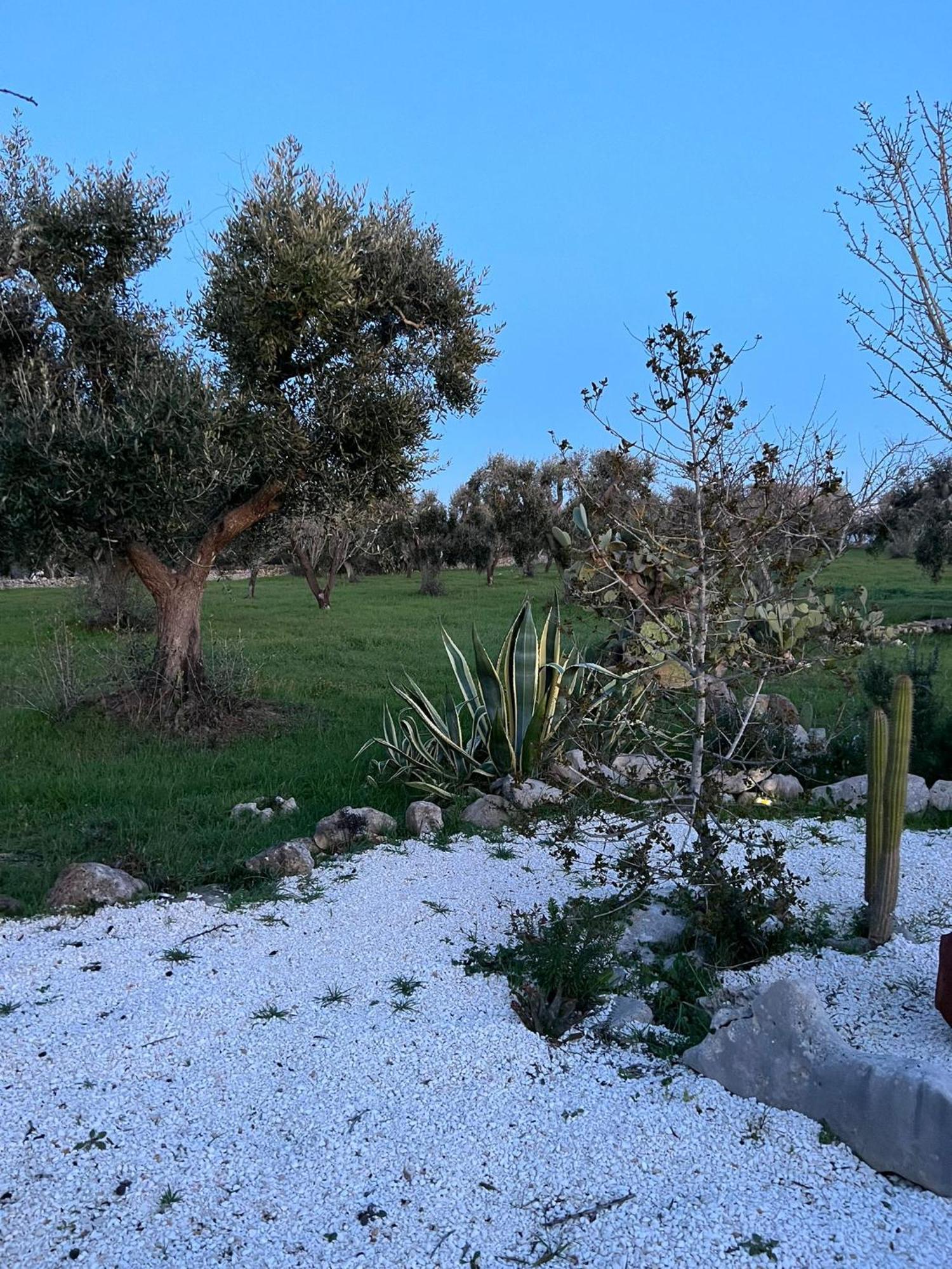 Trullo Oriale Villa Ostuni Dış mekan fotoğraf